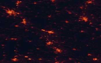 Satellite night-light map of the 50 km around Głogów, with Zielona Góra, Lubin and Leszno marked