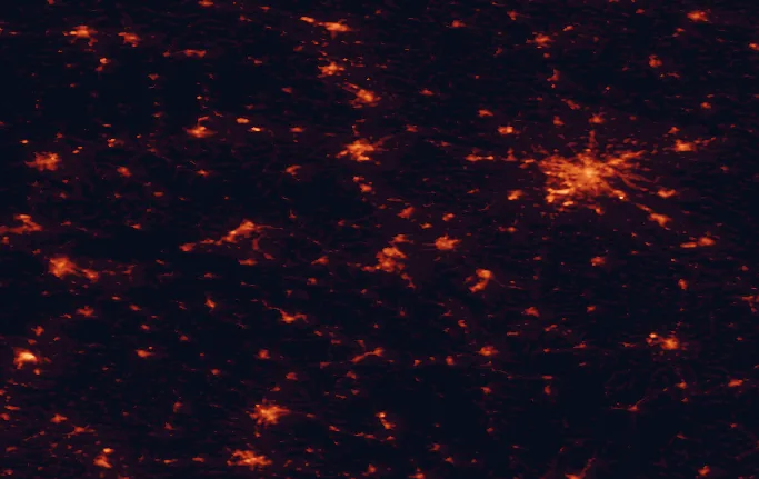 Satellite night-light map of the 100 km around Książ Landscape Park, with Wrocław, Wałbrzych and Legnica marked