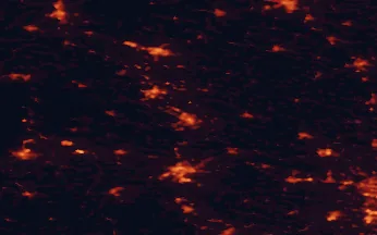 Satellite night-light map of the 50 km around Lubin, with Legnica, Głogów and Polkowice marked