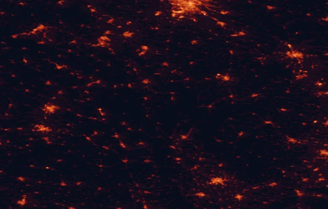 Satellite night-light map of the 100 km around Śnieżnik Landscape Park, with Wałbrzych, Opole and Hradec Králové marked