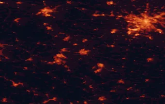 Satellite night-light map of the 50 km around Świdnica, with Wrocław, Wałbrzych and Legnica marked