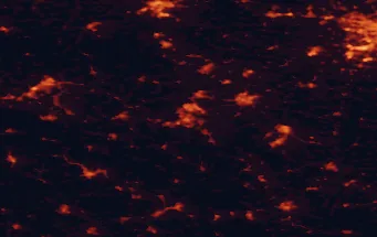 Satellite night-light map of the 50 km around Wałbrzych, with Świdnica, Jelenia Góra and Świebodzice marked