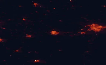Satellite night-light map of the 50 km around Biała Podlaska, with Brest, Międzyrzec Podlaski and Radzyń Podlaski marked