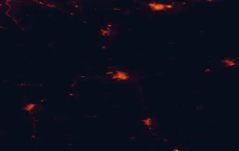 Satellite night-light map of the 50 km around Zamość, with Chełm, Biłgoraj and Krasnystaw marked