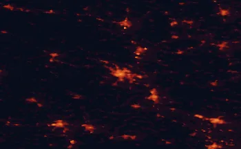Satellite night-light map of the 50 km around Zielona Góra, with Nowa Sól, Głogów and Żary marked