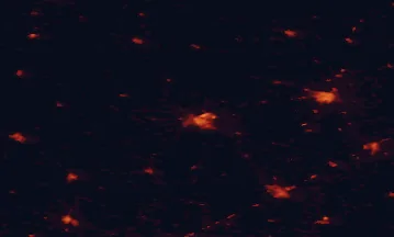 Satellite night-light map of the 50 km around Ostrołęka, with Łomża, Ostrów Mazowiecka and Zambrów marked