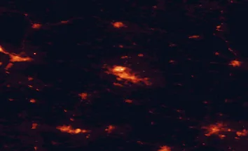 Satellite night-light map of the 50 km around Płock, with Włocławek, Kutno and Sochaczew marked