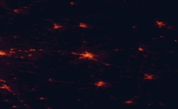 Satellite night-light map of the 50 km around Siedlce, with Łuków, Sokołów Podlaski and Międzyrzec Podlaski marked