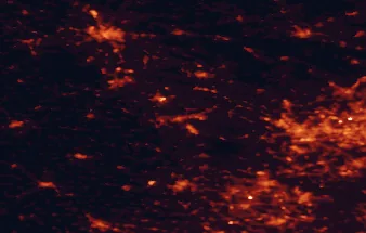 Satellite night-light map of the 50 km around Kędzierzyn-Koźle, with Gliwice, Zabrze and Rybnik marked