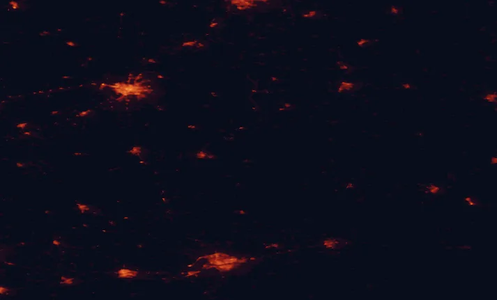 Satellite night-light map of the 100 km around Białowieża National Park, with Brest, Białystok and Kobryn marked