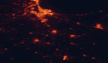 Satellite night-light map of the 50 km around Tczew, with Gdańsk, Gdynia and Elbląg marked
