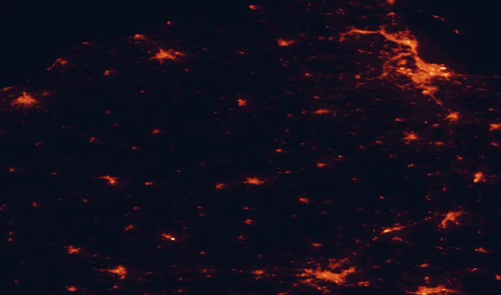 Satellite night-light map of the 100 km around Zaborski Landscape Park, with Gdańsk, Bydgoszcz and Gdynia marked