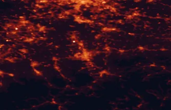 Satellite night-light map of the 50 km around Bielsko-Biała, with Tychy, Rybnik and Jastrzębie Zdrój marked