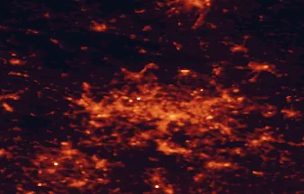 Satellite night-light map of the 50 km around Bytom, with Katowice, Sosnowiec and Zabrze marked