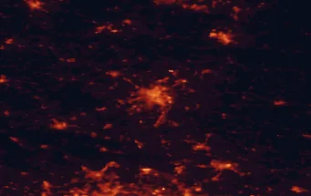 Satellite night-light map of the 50 km around Częstochowa, with Tarnowskie Góry, Zawiercie and Piekary Śląskie marked