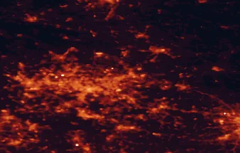 Satellite night-light map of the 50 km around Dąbrowa Górnicza, with Sosnowiec, Katowice and Bytom marked