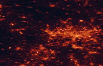 Satellite night-light map of the 50 km around Gliwice, with Zabrze, Katowice and Bytom marked