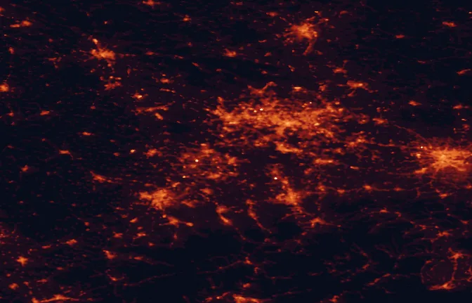 Satellite night-light map of the 100 km around Palowice, with Kraków, Katowice and Gliwice marked