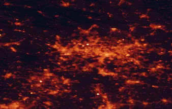 Satellite night-light map of the 50 km around Ruda Śląska, with Katowice, Zabrze and Bytom marked