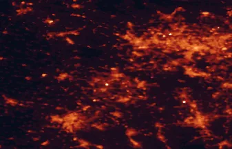 Satellite night-light map of the 50 km around Rybnik, with Ostrava, Katowice and Gliwice marked