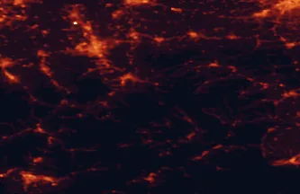 Satellite night-light map of the 50 km around Sopotnia Wielka, with Bielsko-Biala, Żywiec and Žilina marked