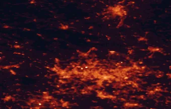 Satellite night-light map of the 50 km around Tarnowskie Góry, with Bytom, Katowice and Zabrze marked