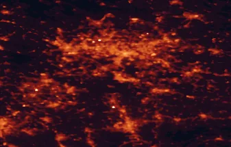 Satellite night-light map of the 50 km around Tychy, with Katowice, Sosnowiec and Ruda Śląska marked