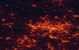 Satellite night-light map of the 50 km around Zabrze, with Gliwice, Katowice and Bytom marked
