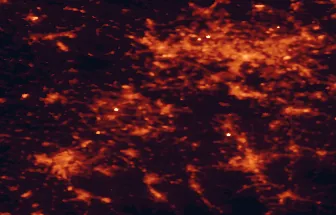 Satellite night-light map of the 50 km around Żory, with Katowice, Rybnik and Ostrava marked