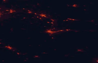 Satellite night-light map of the 50 km around Przemyśl, with Jarosław, Sanok and Sambir marked