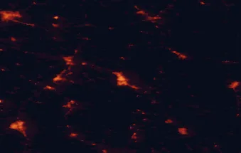 Satellite night-light map of the 50 km around Stalowa Wola, with Tarnobrzeg, Ostrowiec Świętokrzyski and Mielec marked
