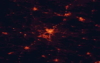 Satellite night-light map of the 50 km around Kielce, with Skarżysko-Kamienna, Starachowice and Końskie marked