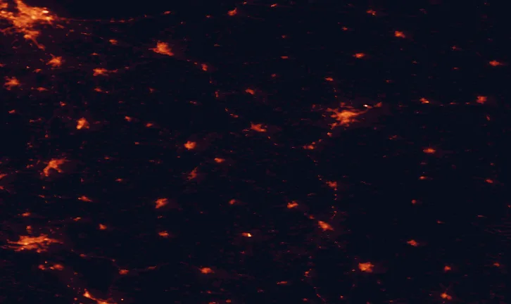Satellite night-light map of the 100 km around Dylewo Hills Landscape Park, with Gdańsk, Olsztyn and Toruń marked