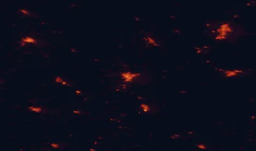 Satellite night-light map of the 50 km around Ełk, with Suwałki, Grajewo and Augustów marked