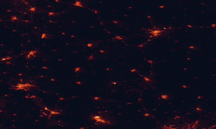 Satellite night-light map of the 100 km around Wel Landscape Park, with Olsztyn, Toruń and Płock marked