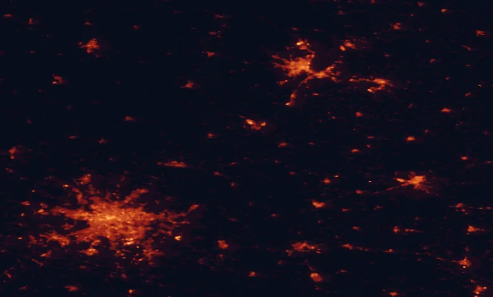Satellite night-light map of the 100 km around Cedynia Landscape Park, with Berlin, Szczecin and Potsdam marked
