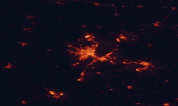 Satellite night-light map of the 50 km around Szczecin, with Stargard, Police and Gryfino marked
