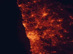 Satellite night-light map of the 50 km around Bougado, with Porto, Braga and Vila Nova de Gaia marked