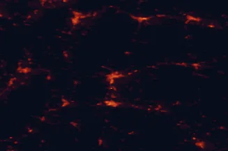 Satellite night-light map of the 50 km around Banská Bystrica, with Zvolen, Martin and Prievidza marked