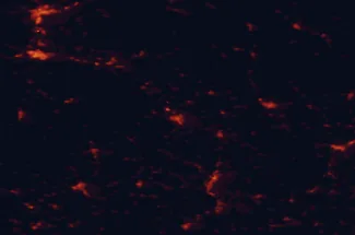 Satellite night-light map of the 50 km around Lučenec, with Banská Bystrica, Salgótarján and Zvolen marked