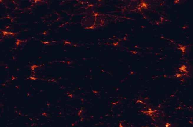 Satellite night-light map of the 100 km around Muránska planina National Park, with Košice, Miskolc and Banská Bystrica marked