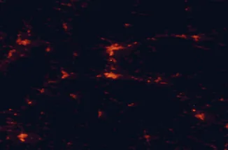 Satellite night-light map of the 50 km around Zvolen, with Banská Bystrica, Prievidza and Žiar nad Hronom marked