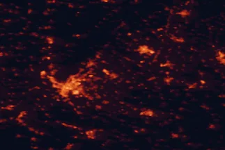 Satellite night-light map of the 50 km around Senec, with Bratislava, Petržalka and Trnava marked