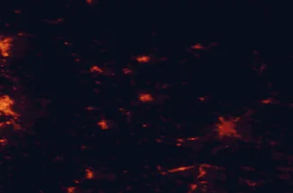 Satellite night-light map of the 50 km around Michalovce, with Uzhhorod, Humenné and Trebišov marked