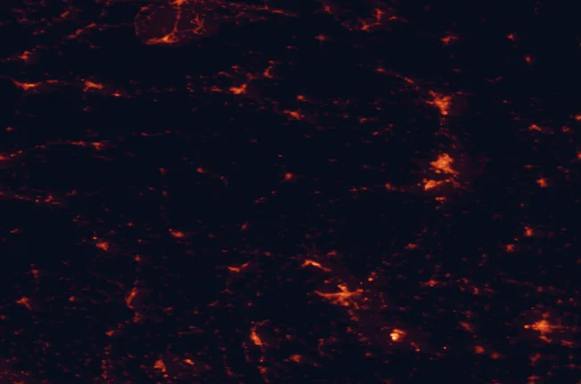 Satellite night-light map of the 100 km around Slovak Karst National Park, with Košice, Miskolc and Prešov marked