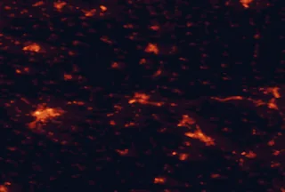 Satellite night-light map of the 50 km around Komárno, with Győr, Tatabánya and Nové Zámky marked
