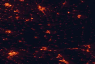 Satellite night-light map of the 50 km around Nové Zámky, with Győr, Nitra and Tatabánya marked