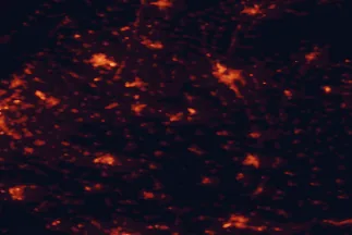 Satellite night-light map of the 50 km around Šaľa, with Nitra, Trnava and Nové Zámky marked