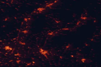 Satellite night-light map of the 50 km around Topoľčany, with Nitra, Trenčín and Trnava marked