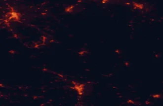 Satellite night-light map of the 50 km around Bardejov, with Prešov, Nowy Sącz and Krosno marked